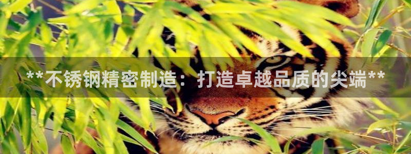 彩神Vll购彩大厅：**不锈钢精密制造：打造卓越品质的尖端**