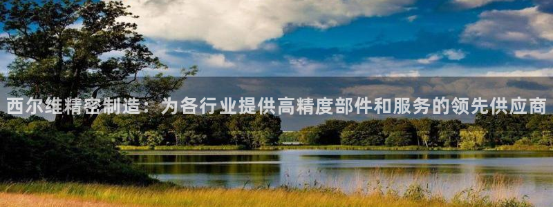 彩神通官方网：西尔维精密制造：为各行业提供高精度部件和服务的领先供应商
