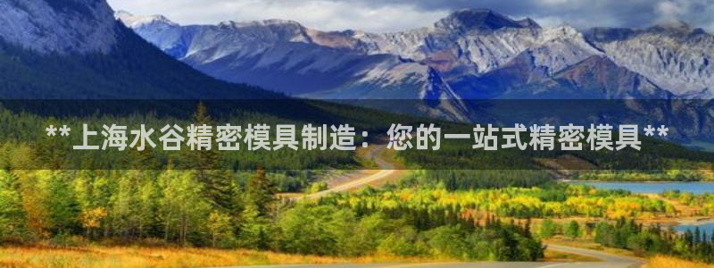 彩神v8是一个什么平台啊：**上海水谷精密模具制造：您的一站式精密模具**