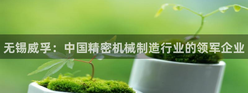 彩神v集团有限公司：无锡威孚：中国精密机械制造行业的领军企业