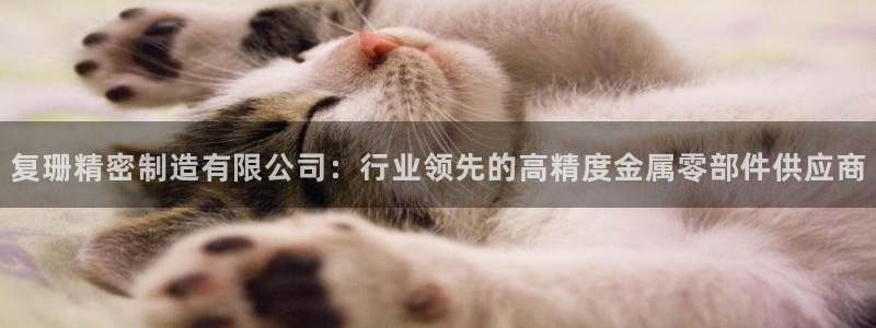 彩神ⅴll用户登录：复珊精密制造有限公司：行业领先的高精度金属零部件供应商