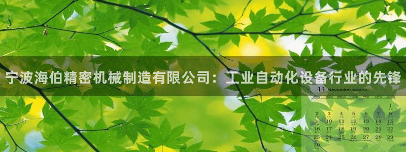 彩神8app官方下载：宁波海伯精密机械制造有限公司：工业自动化设备行业的先锋