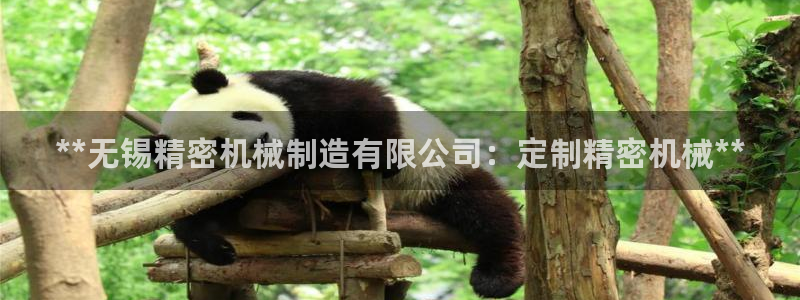 彩神vll首页环球：**无锡精密机械制造有限公司：定制精密机械**