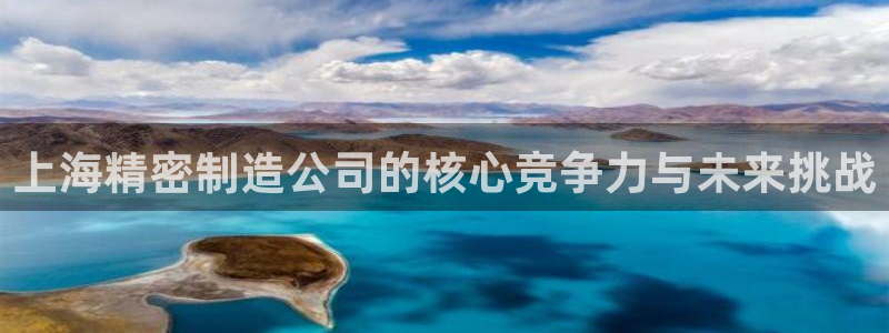 彩神8软件下载：上海精密制造公司的核心竞争力与未来挑战