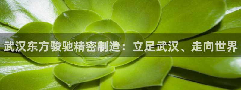 彩神8是正规平台吗是正品吗：武汉东方骏驰精密制造：立足武汉、走向世界