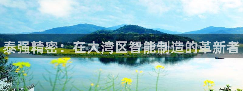 彩神平台是真的吗：泰强精密：在大湾区智能制造的革新者