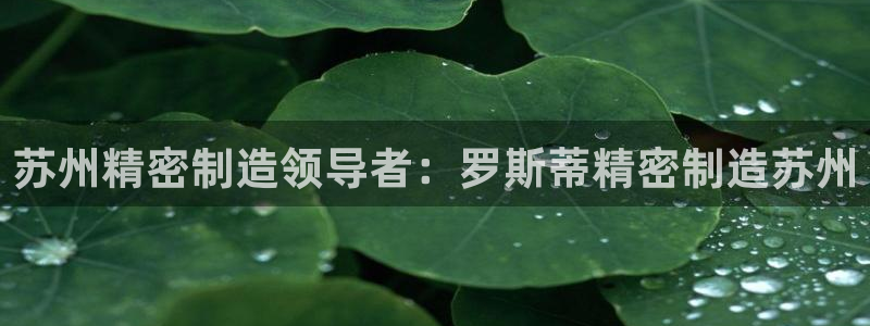 彩神大发是不是人为操作：苏州精密制造领导者：罗斯蒂精密制造苏州