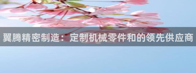 彩神系列平台：翼腾精密制造：定制机械零件和的领先供应商