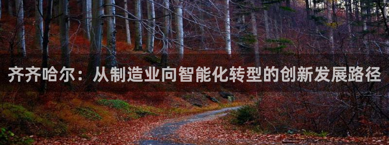 彩神vll购彩大厅：齐齐哈尔：从制造业向智能化转型的创新发展路径