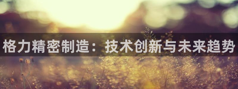 彩神vii购彩l心：格力精密制造：技术创新与未来趋势