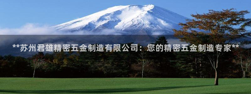 彩神iv争霸购彩大厅：**苏州君雄精密五金制造有限公司：您的精密五金制造专家**