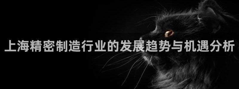 彩神vll首页企业文化：上海精密制造行业的发展趋势与机遇分析