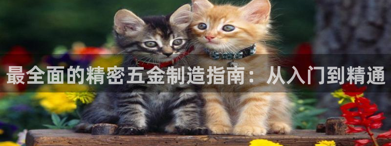 彩神VI首页：最全面的精密五金制造指南：从入门到精通