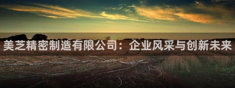 彩神是什么平台的游戏：美芝精密制造有限公司：企业风采与创新未来