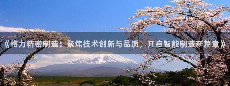 彩神怎么才能赢：《格力精密制造：聚焦技术创新与品质，开启智能制造新篇章》