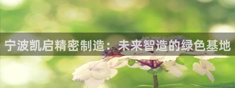 彩神ix能赚钱吗：宁波凯启精密制造：未来智造的绿色基地