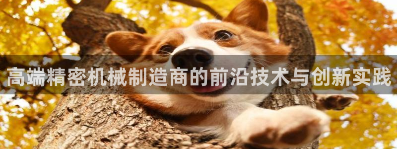 彩神争霸老平台：高端精密机械制造商的前沿技术与创新实践
