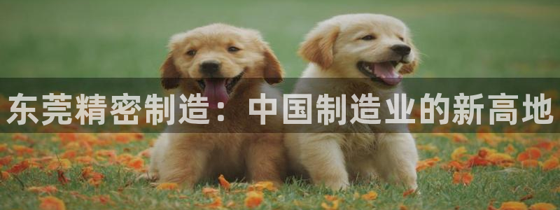彩神争霸官网登录平台：东莞精密制造：中国制造业的新高地