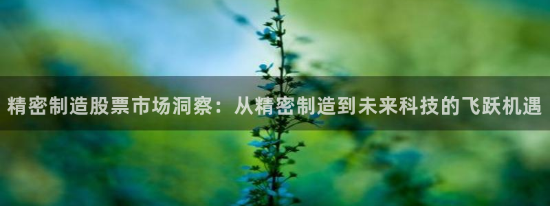 彩神官方登录：精密制造股票市场洞察：从精密制造到未来科技的飞跃机遇