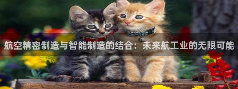 彩神v8手机客户端：航空精密制造与智能制造的结合：未来航工业的无限可能