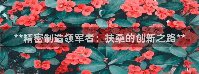 彩神官方登录