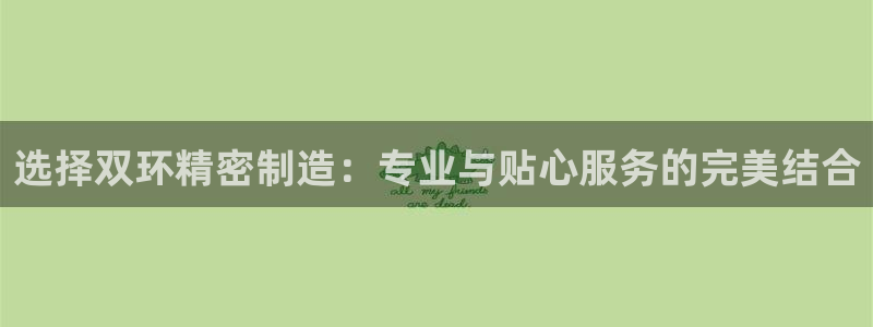 彩神vll首页环球：选择双环精密制造：专业与贴心服务的完美结合