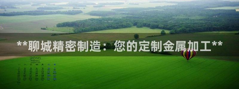 彩神v1破解器：**聊城精密制造：您的定制金属加工**