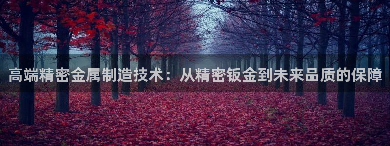 彩神怎么样可以提现：高端精密金属制造技术：从精密钣金到未来品质的保障