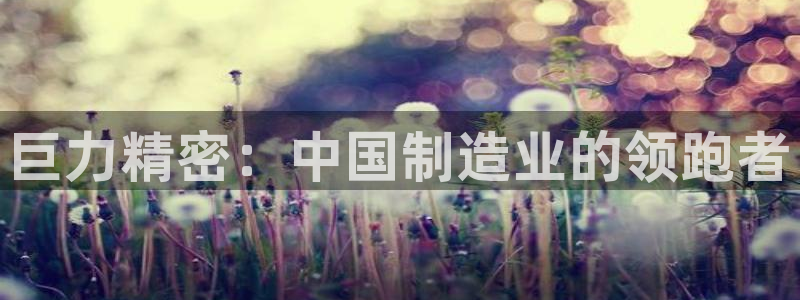 彩神输的钱是赌博还是诈骗：巨力精密：中国制造业的领跑者