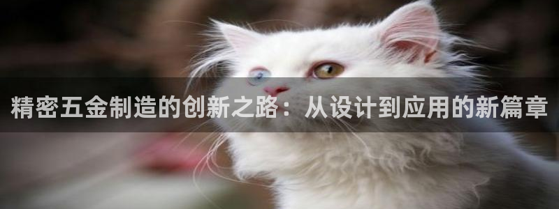 彩神8下载安卓版-彩神8(可提现)官网版1.0.0：精密五金制造的创新之路：从设计到应用的新篇章