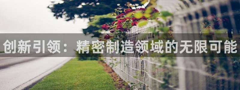 彩神v平台：创新引领：精密制造领域的无限可能
