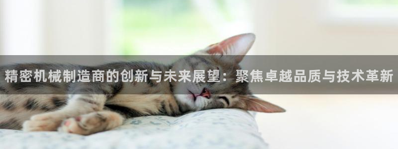 彩神iv是正规平台吗?：精密机械制造商的创新与未来展望：聚焦卓越品质与技术革新
