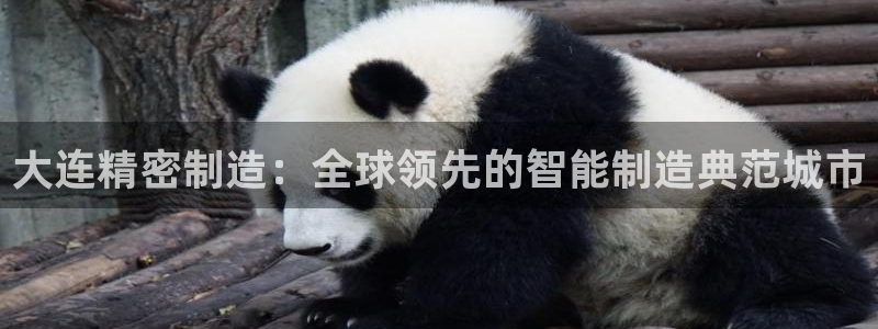 彩神v：大连精密制造：全球领先的智能制造典范城市