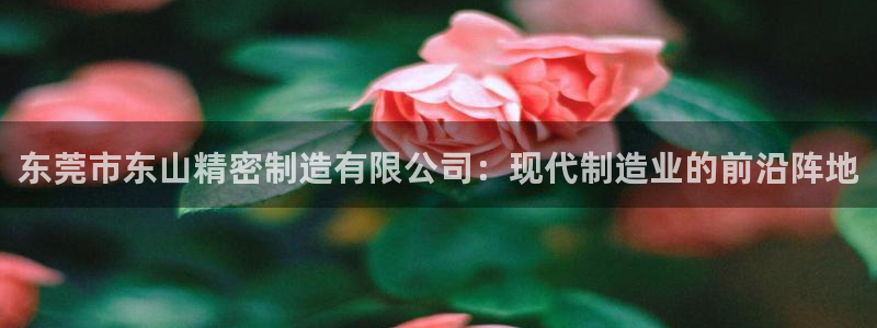彩神v破解版：东莞市东山精密制造有限公司：现代制造业的前沿阵地