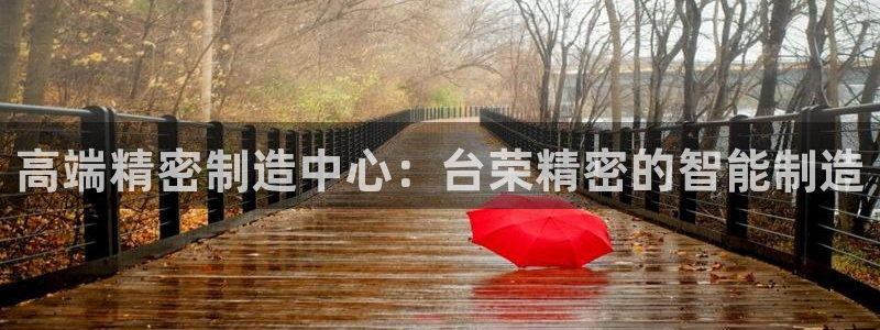 彩神vii官网大赢家：高端精密制造中心：台荣精密的智能制造