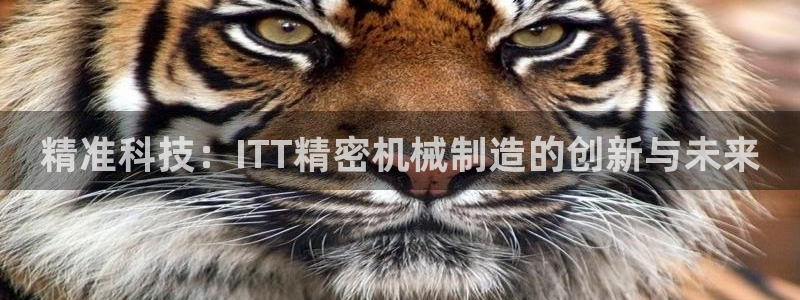 彩神V官网：精准科技：ITT精密机械制造的创新与未来