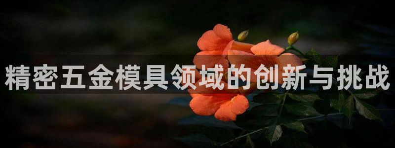 彩神旗下有哪些平台可以看：精密五金模具领域的创新与挑战