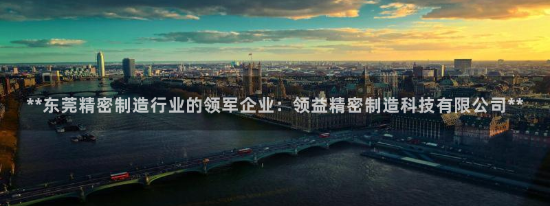 彩神通关注码金码对应码：**东莞精密制造行业的领军企业：领益精密制造科技有限公司**