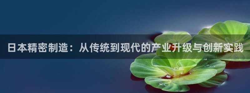 彩神Vii购彩-购彩大厅：日本精密制造：从传统到现代的产业升级与创新实践