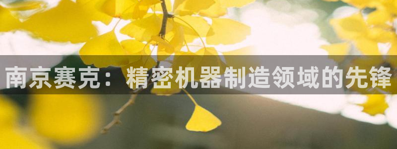 彩神v8下载app：南京赛克：精密机器制造领域的先锋