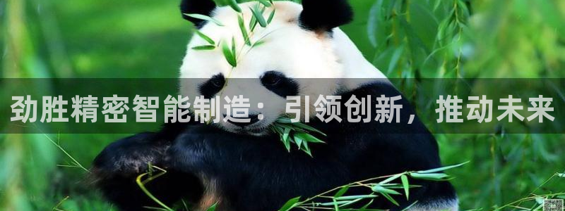 彩神8最新版下载：劲胜精密智能制造：引领创新，推动未来