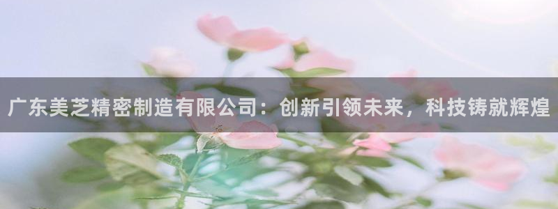 彩神vll购彩大厅：广东美芝精密制造有限公司：创新引领未来，科技铸就辉煌
