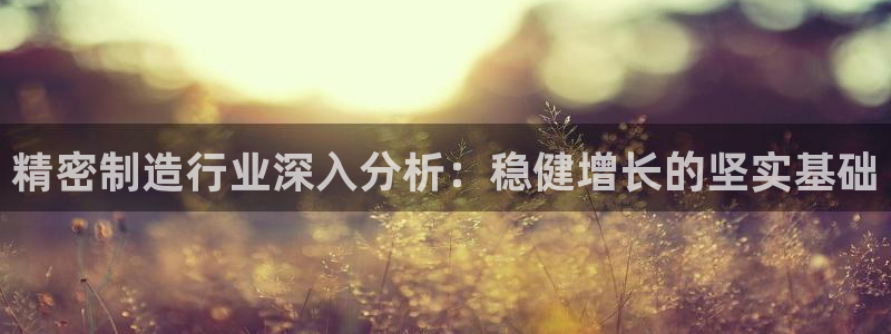 彩神app赚钱是真是假：精密制造行业深入分析：稳健增长的坚实基础