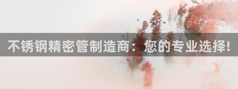 彩神平台是真的吗：不锈钢精密管制造商：您的专业选择!