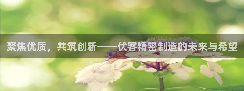 彩神vii购彩l心：聚焦优质，共筑创新——伏客精密制造的未来与希望