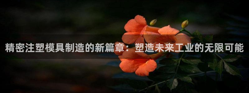 彩神的邀请码是多少：精密注塑模具制造的新篇章：塑造未来工业的无限可能