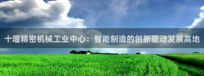 彩神官方登录：十堰精密机械工业中心：智能制造的创新驱动发展高地