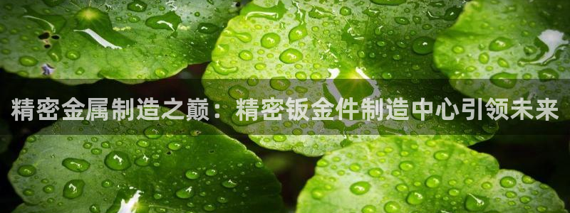 彩神v争霸是啥：精密金属制造之巅：精密钣金件制造中心引领未来