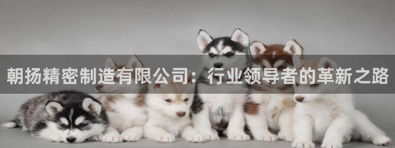 彩神v彩搜狗：朝扬精