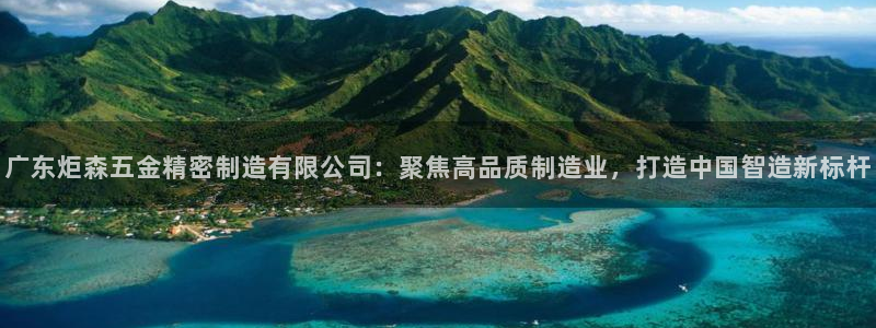 彩神大发官网：广东炬